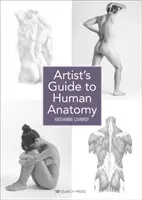 Művészi útmutató az emberi anatómiához - Artist's Guide to Human Anatomy