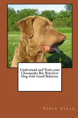 A Chesapeake Bay Retriever kutya megértése és kiképzése jó viselkedéssel - Understand and Train your Chesapeake Bay Retriever Dog with Good Behavior