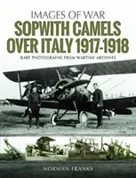 Sopwith Camelek Olaszország felett, 1917-1918 - Sopwith Camels Over Italy, 1917-1918