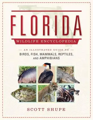 Florida Wildlife Encyclopedia: Képes útmutató a madarakról, halakról, emlősökről, hüllőkről és kétéltűekről - Florida Wildlife Encyclopedia: An Illustrated Guide to Birds, Fish, Mammals, Reptiles, and Amphibians