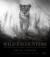 Vad találkozások: Ikonikus fotók a világ eltűnőben lévő állatairól és kultúráiról - Wild Encounters: Iconic Photographs of the World's Vanishing Animals and Cultures