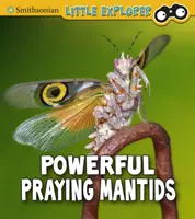 Erőteljes imádkozó sáskák - Powerful Praying Mantises