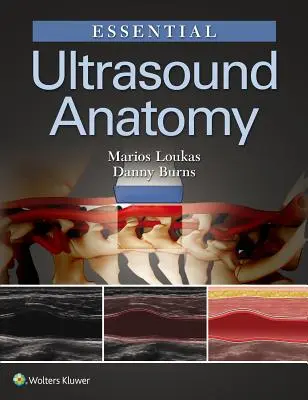 Alapvető ultrahang anatómia - Essential Ultrasound Anatomy