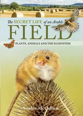 Egy szántóföld titkos élete: Növények, állatok és az ökoszisztéma - The Secret Life of an Arable Field: Plants, Animals and the Ecosystem