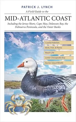 A Field Guide to the Mid-Atlantic Coast: Beleértve Jersey partvidékét, Cape Mayt, a Delaware-öblöt, a Delmarva-félszigetet és az Outer Bankset. - A Field Guide to the Mid-Atlantic Coast: Including the Jersey Shore, Cape May, Delaware Bay, the Delmarva Peninsula, and the Outer Banks