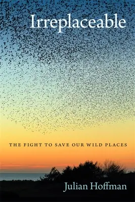 Pótolhatatlan: A vadon élő helyeink megmentéséért folytatott küzdelem - Irreplaceable: The Fight to Save Our Wild Places