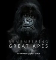 Emlékezés a nagy majmokra - Remembering Great Apes