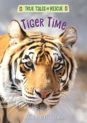 Tigrisidő - Tiger Time