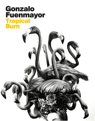 Gonzalo Fuenmayor: Fuenza Buenaueno: Trópusi égés - Gonzalo Fuenmayor: Tropical Burn