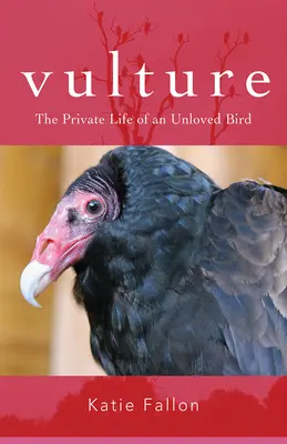 Keselyű: Egy nem szeretett madár magánélete - Vulture: The Private Life of an Unloved Bird