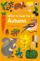 Mit keressünk ősszel - What to Look For in Autumn