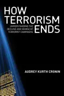 Hogyan ér véget a terrorizmus: a terrorista kampányok hanyatlásának és végének megértése - How Terrorism Ends: Understanding the Decline and Demise of Terrorist Campaigns