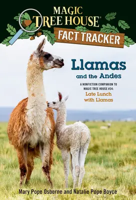 Lámák és az Andok: A nemirodalmi kísérő a Varázsfaházhoz #34: Late Lunch with Llamas (Késői ebéd lámafigurákkal) - Llamas and the Andes: A Nonfiction Companion to Magic Tree House #34: Late Lunch with Llamas