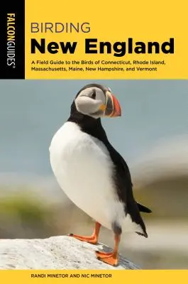 Új-Anglia madarászata: Connecticut, Rhode Island, Massachusetts, Maine, New Hampshire és Vermont madaraihoz. - Birding New England: A Field Guide to the Birds of Connecticut, Rhode Island, Massachusetts, Maine, New Hampshire, and Vermont