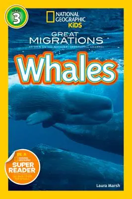 Whales