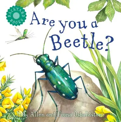 Te egy bogár vagy? - Are You a Beetle?