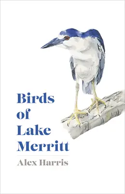 A Merritt-tó madarai - Birds of Lake Merritt