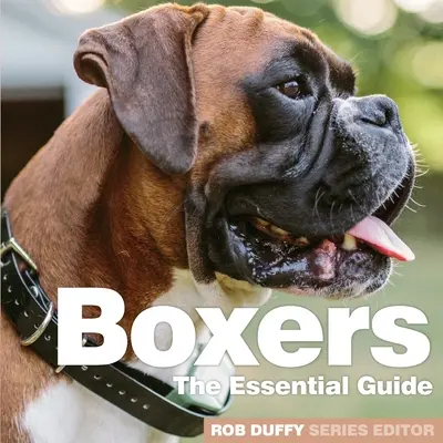 Boxer: Boxer: Az alapvető útmutató - Boxers: The Essential Guide