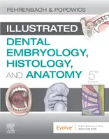 Illusztrált fogászati embriológia, szövettan és anatómia - Illustrated Dental Embryology, Histology, and Anatomy