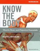 Munkafüzet az Ismerd meg a testet: Izom, csont és tapintás alapjai - Workbook for Know the Body: Muscle, Bone, and Palpation Essentials