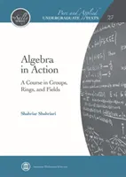 Algebra a gyakorlatban - Tanfolyam a csoportokról, gyűrűkről és mezőkről - Algebra in Action - A Course in Groups, Rings, and Fields