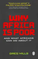 Miért szegény Afrika - Why Africa is poor