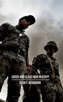 Válság és osztályharc Egyiptomban: Társadalmi újratermelődés, frakcióátrendeződések és a globális politikai gazdaság - Crisis and Class War in Egypt: Social Reproduction, Factional Realignments and the Global Political Economy