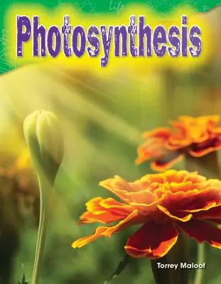 Fotoszintézis - Photosynthesis