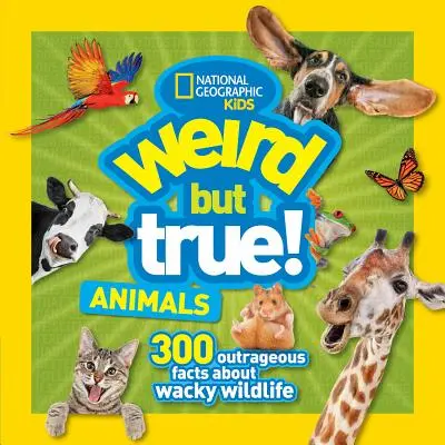 Furcsa, de igaz állatok - Weird But True Animals