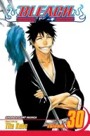 Bleach, 30. kötet, 30 - Bleach, Vol. 30, 30