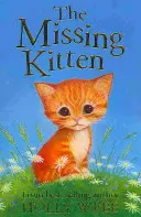 Eltűnt cica - Missing Kitten