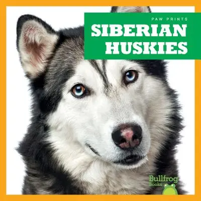 Szibériai huskyk - Siberian Huskies