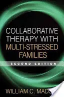 Együttműködő terápia többszörösen stresszes családokkal - Collaborative Therapy with Multi-Stressed Families