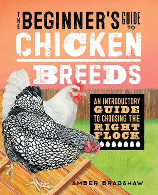 A kezdők útmutatója a csirkefajtákhoz: Bevezető útmutató a megfelelő állomány kiválasztásához - The Beginner's Guide to Chicken Breeds: An Introductory Guide to Choosing the Right Flock