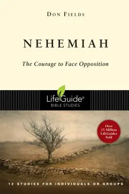 Nehemia: Bátorság az ellenállással szemben - Nehemiah: Courage in the Face of Opposition