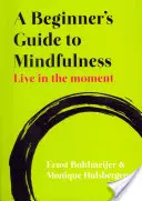 Kezdők útmutatója a mindfulnesshez: Élj a pillanatban - A Beginner's Guide to Mindfulness: Live in the Moment