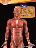 Az izomrendszered - Your Muscular System