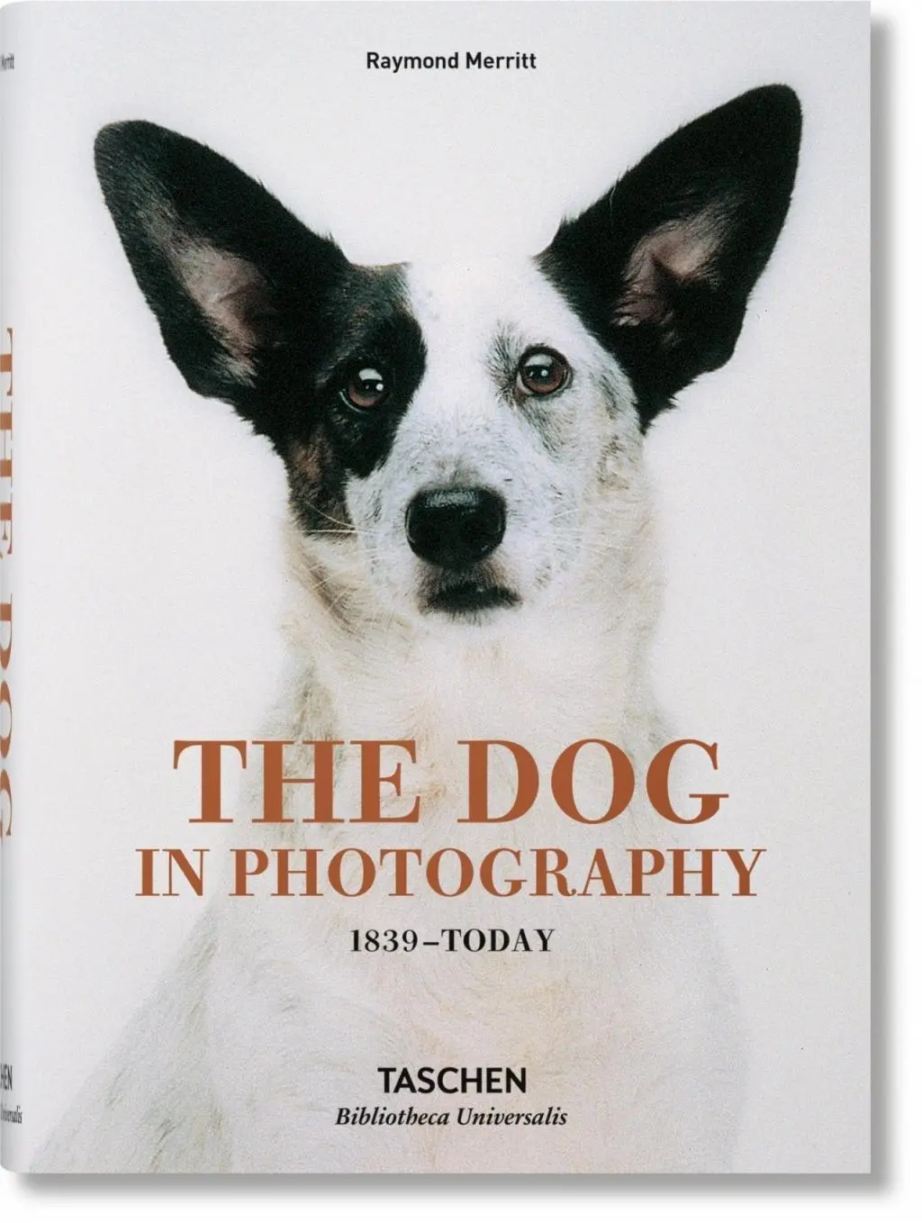 A kutya a fényképészetben 1839-től napjainkig - The Dog in Photography 1839-Today