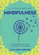 Egy kis mindfulness, 13: Bevezetés a jelenlétbe - A Little Bit of Mindfulness, 13: An Introduction to Being Present