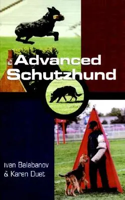 Haladó Schutzhund - Advanced Schutzhund