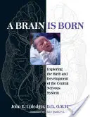 Agy születik: A központi idegrendszer születésének és fejlődésének felfedezése - A Brain Is Born: Exploring the Birth and Development of the Central Nervous System