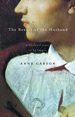 A férj szépsége: Egy fiktív esszé 29 tangóban - The Beauty of the Husband: A Fictional Essay in 29 Tangos