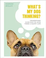 Mit gondol a kutyám? - Értsd meg a kutyádat, hogy boldog életet adj neki - What's My Dog Thinking? - Understand Your Dog to Give Them a Happy Life