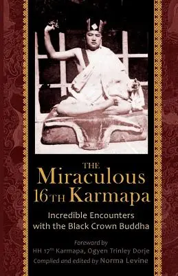 A csodálatos 16. Karmapa - The Miraculous 16th Karmapa