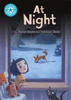 Reading Champion: At Night - Independent Reading Blue 4