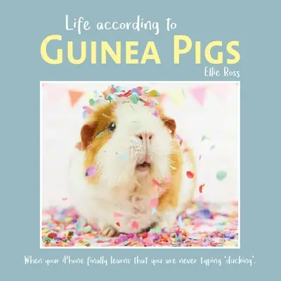 Az élet a tengerimalacok szerint - Life According to Guinea Pigs