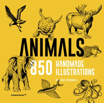 Állatok: 850 kézzel készített illusztráció - Animals: 850 Handmade Illustrations