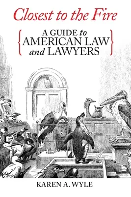 Legközelebb a tűzhöz: A Guide to American Law and Lawyers - Closest to the Fire: A Guide to American Law and Lawyers