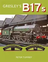 Gresley B17-esei - Gresley's B17s