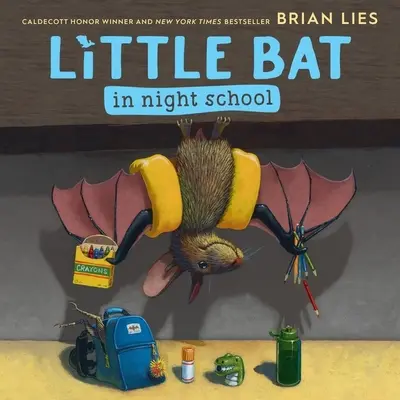 A kis denevér az éjszakai iskolában - Little Bat in Night School